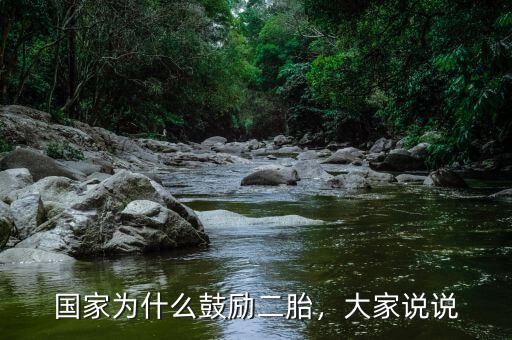 國家為什么鼓勵二胎，大家說說