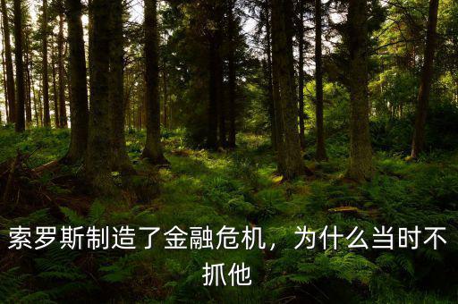 索羅斯制造了金融危機，為什么當(dāng)時不抓他