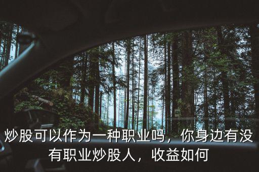 炒股可以作為一種職業(yè)嗎，你身邊有沒有職業(yè)炒股人，收益如何