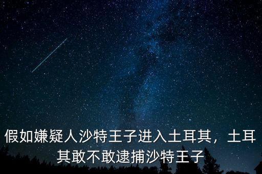 假如嫌疑人沙特王子進(jìn)入土耳其，土耳其敢不敢逮捕沙特王子