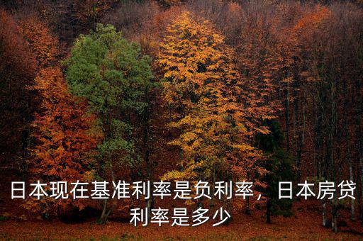 日本現(xiàn)在基準(zhǔn)利率是負(fù)利率，日本房貸利率是多少