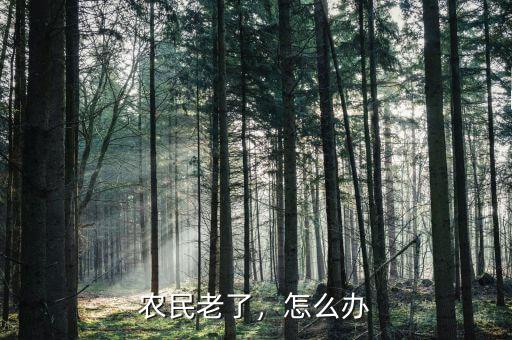 農民老了怎么辦,你認為該怎么辦