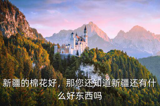 新疆的棉花好，那您還知道新疆還有什么好東西嗎