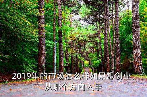 2019年的市場(chǎng)怎么樣如果想創(chuàng)業(yè)，從哪個(gè)方向入手