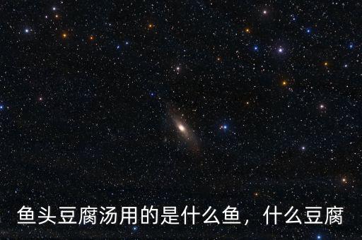 魚頭豆腐湯用的是什么魚，什么豆腐