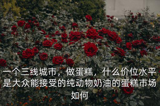 一個(gè)三線城市，做蛋糕，什么價(jià)位水平是大眾能接受的純動(dòng)物奶油的蛋糕市場如何