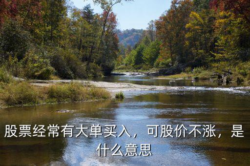 股票經(jīng)常有大單買入，可股價不漲，是什么意思