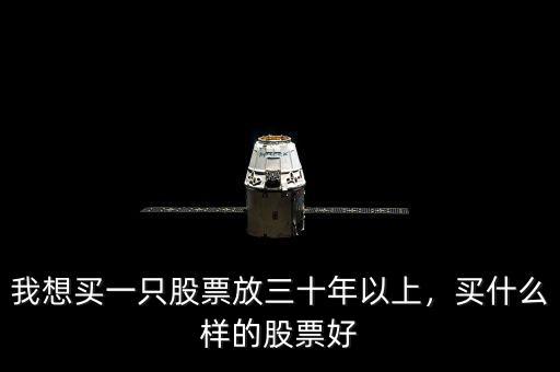 我想買一只股票放三十年以上，買什么樣的股票好