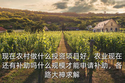 現(xiàn)在農(nóng)村做什么投資項(xiàng)目好，農(nóng)業(yè)現(xiàn)在還有補(bǔ)助嗎什么規(guī)模才能申請補(bǔ)助，各路大神求解