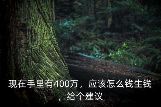 現(xiàn)在手里有400萬，應(yīng)該怎么錢生錢，給個建議