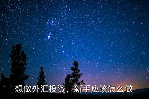 想做外匯投資，新手應(yīng)該怎么做
