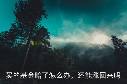 買的基金賠了怎么辦，還能漲回來嗎