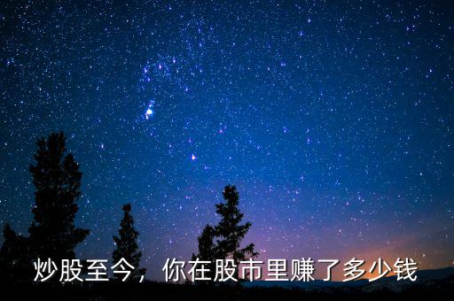 炒股至今，你在股市里賺了多少錢