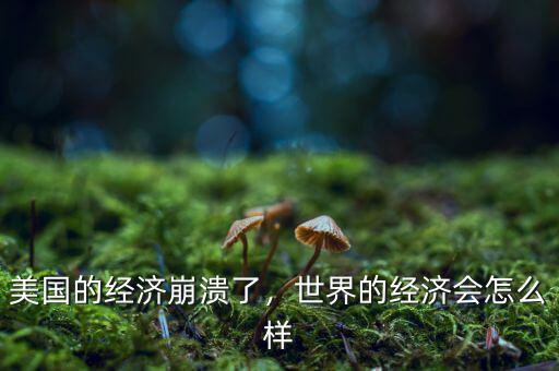 美國(guó)的經(jīng)濟(jì)崩潰了，世界的經(jīng)濟(jì)會(huì)怎么樣
