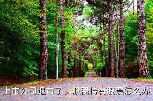 上市公司退市了，股民持有股票怎么辦