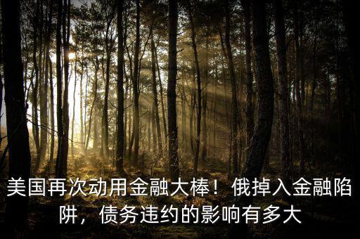 美國再次動用金融大棒！俄掉入金融陷阱，債務(wù)違約的影響有多大