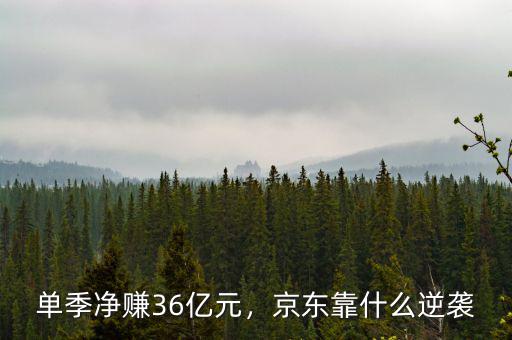 單季凈賺36億元，京東靠什么逆襲