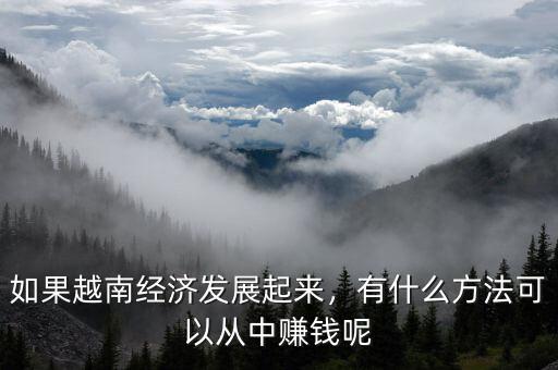 如果越南經(jīng)濟(jì)發(fā)展起來(lái)，有什么方法可以從中賺錢(qián)呢