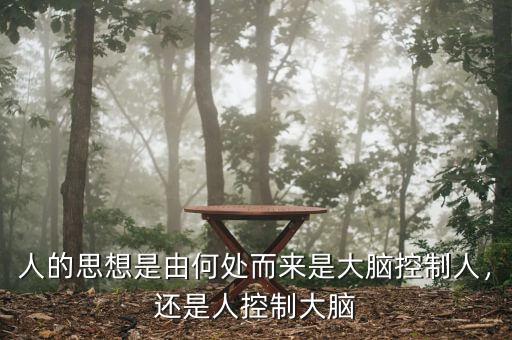 人的思想是由何處而來(lái)是大腦控制人，還是人控制大腦