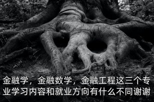 金融學(xué)，金融數(shù)學(xué)，金融工程這三個(gè)專業(yè)學(xué)習(xí)內(nèi)容和就業(yè)方向有什么不同謝謝