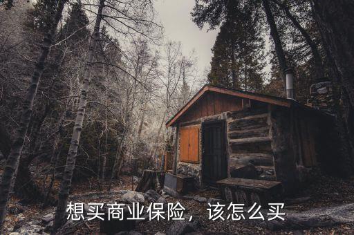 想買商業(yè)保險，該怎么買