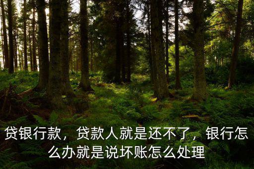 貸銀行款，貸款人就是還不了，銀行怎么辦就是說壞賬怎么處理
