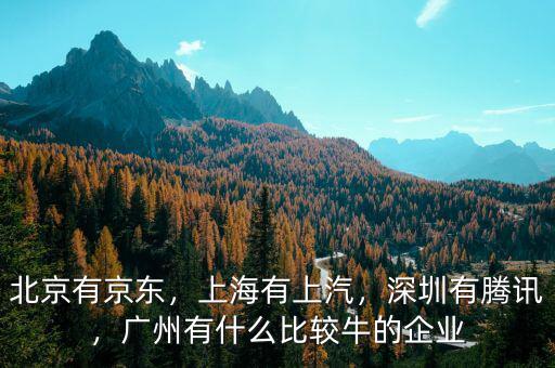 北京有京東，上海有上汽，深圳有騰訊，廣州有什么比較牛的企業(yè)
