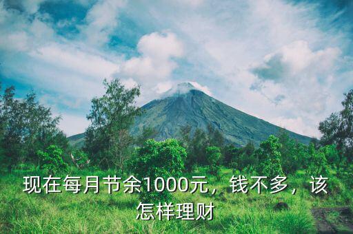 現(xiàn)在每月節(jié)余1000元，錢不多，該怎樣理財