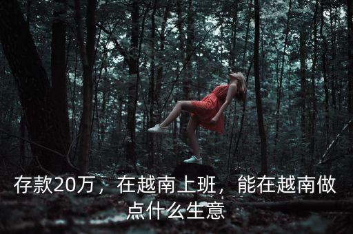 存款20萬，在越南上班，能在越南做點什么生意