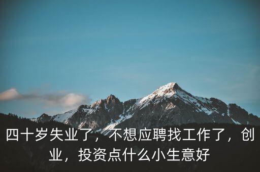 四十歲失業(yè)了，不想應(yīng)聘找工作了，創(chuàng)業(yè)，投資點(diǎn)什么小生意好