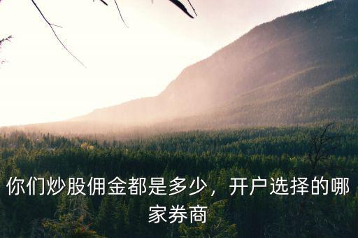 你們炒股傭金都是多少，開戶選擇的哪家券商