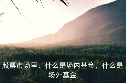 股票市場(chǎng)里，什么是場(chǎng)內(nèi)基金，什么是場(chǎng)外基金