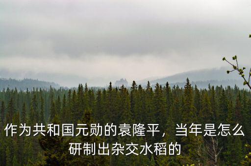 作為共和國元勛的袁隆平，當(dāng)年是怎么研制出雜交水稻的
