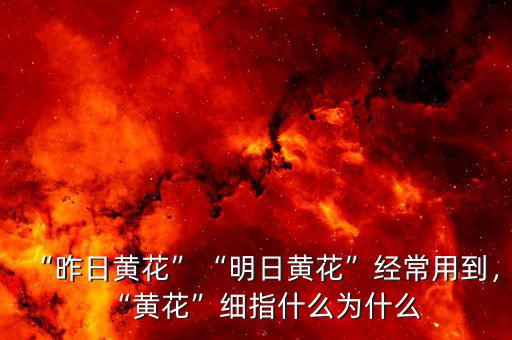 “昨日黃花”“明日黃花”經(jīng)常用到，“黃花”細(xì)指什么為什么