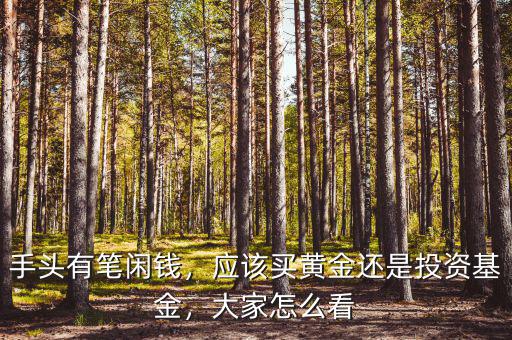 手頭有筆閑錢，應(yīng)該買黃金還是投資基金，大家怎么看