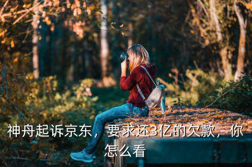 神舟起訴京東，要求還3億的欠款，你怎么看