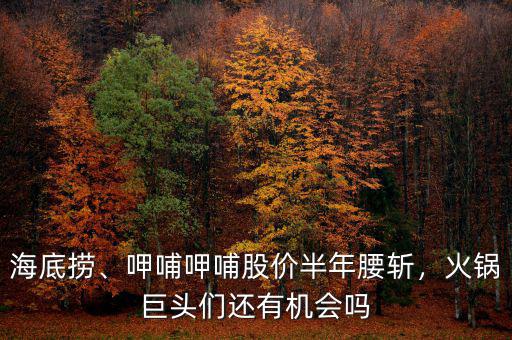 海底撈、呷哺呷哺股價半年腰斬，火鍋巨頭們還有機(jī)會嗎