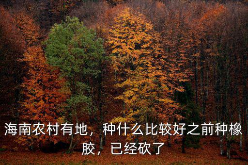 海南農(nóng)村有地，種什么比較好之前種橡膠，已經(jīng)砍了