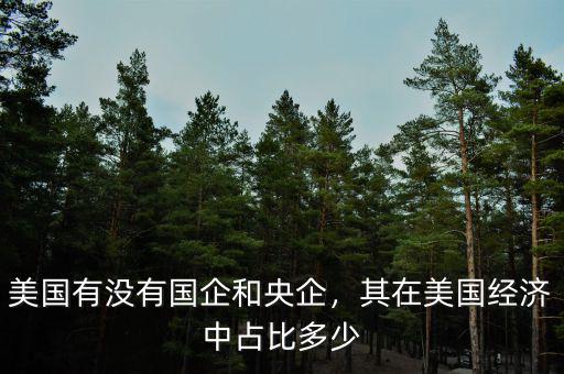 美國(guó)有沒(méi)有國(guó)企和央企，其在美國(guó)經(jīng)濟(jì)中占比多少