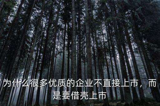 為什么很多優(yōu)質(zhì)的企業(yè)不直接上市，而是要借殼上市