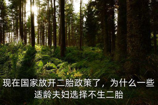 現(xiàn)在國家放開二胎政策了，為什么一些適齡夫婦選擇不生二胎