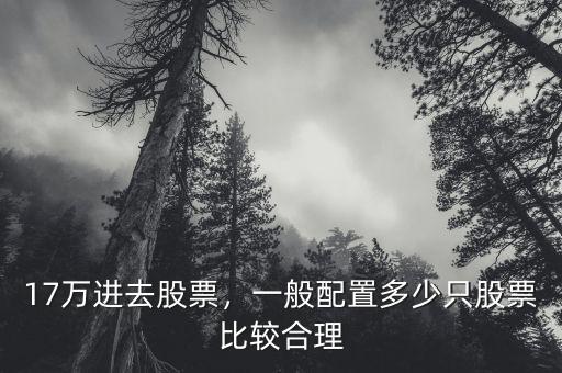17萬進(jìn)去股票，一般配置多少只股票比較合理