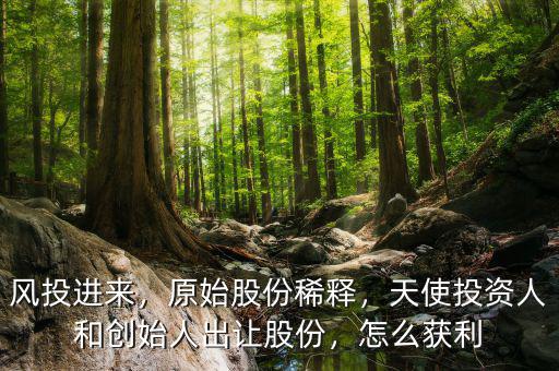 風(fēng)投進來，原始股份稀釋，天使投資人和創(chuàng)始人出讓股份，怎么獲利