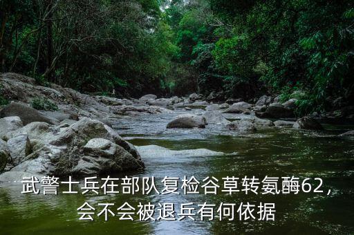 武警士兵在部隊(duì)復(fù)檢谷草轉(zhuǎn)氨酶62，會不會被退兵有何依據(jù)