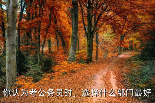 你認為考公務員時，選擇什么部門最好