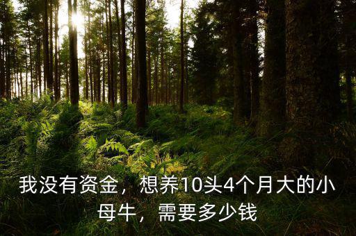 我沒有資金，想養(yǎng)10頭4個月大的小母牛，需要多少錢