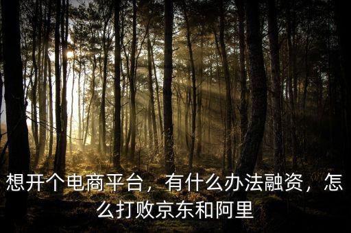 想開個電商平臺，有什么辦法融資，怎么打敗京東和阿里