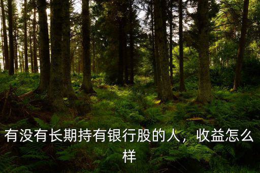 有沒有長(zhǎng)期持有銀行股的人，收益怎么樣