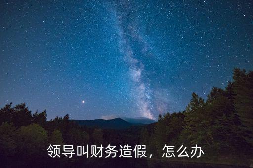 領(lǐng)導叫財務(wù)造假，怎么辦