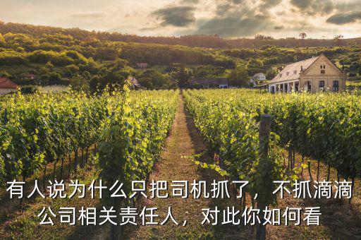 有人說為什么只把司機抓了，不抓滴滴公司相關(guān)責(zé)任人，對此你如何看